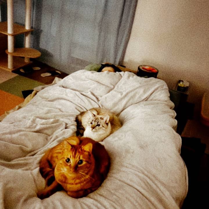 B898f654 3278 41ac a6e4 9f55871fb4cd 1774736146915