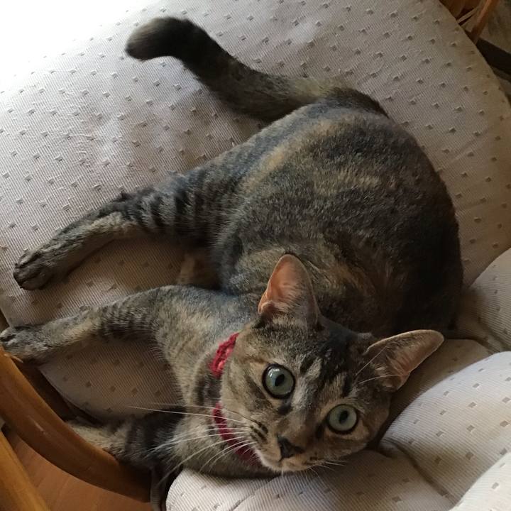 B89904ff cbfe 41e4 b172 04240d76583f 1598693036154