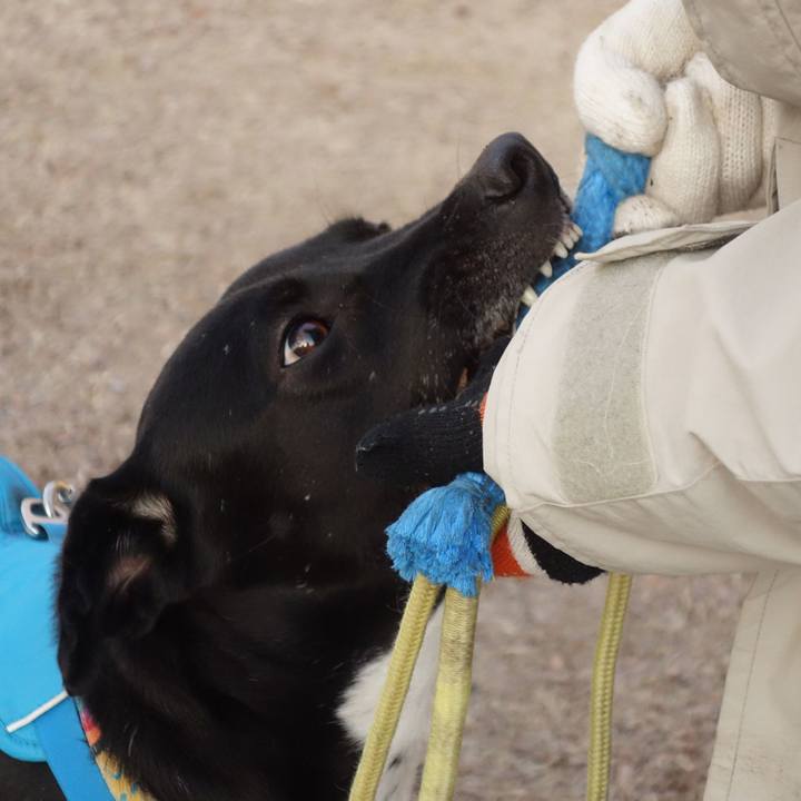 B8990c11 3935 47b6 99a2 484a17c198b4 1612915542748