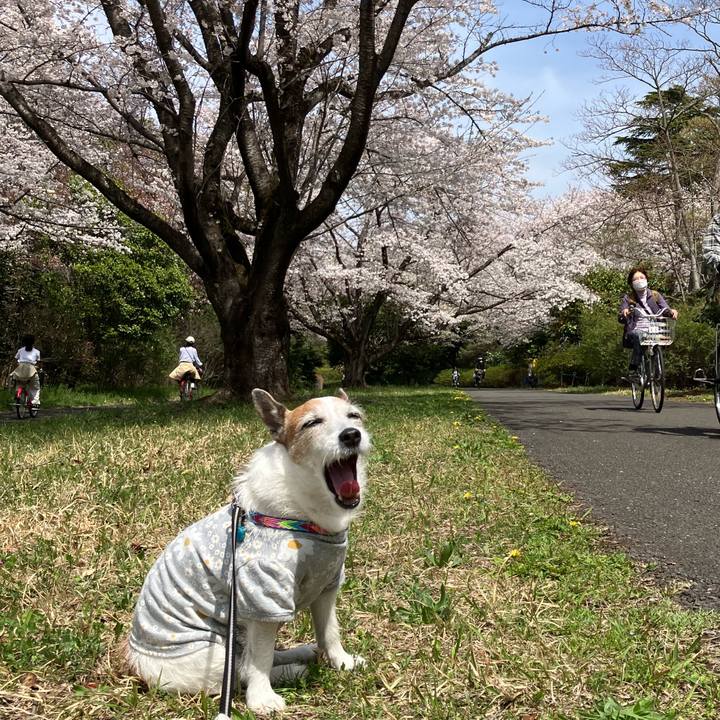 B8992228 9f6f 44ca a844 32896c5c1f42 1712704820236