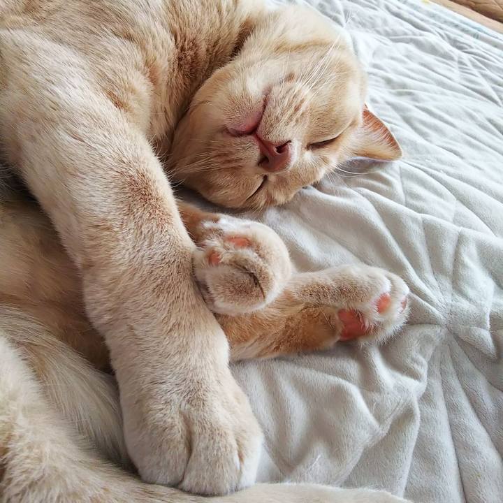 B8993663 b42b 4968 ba34 d44090747df3 1653601645746