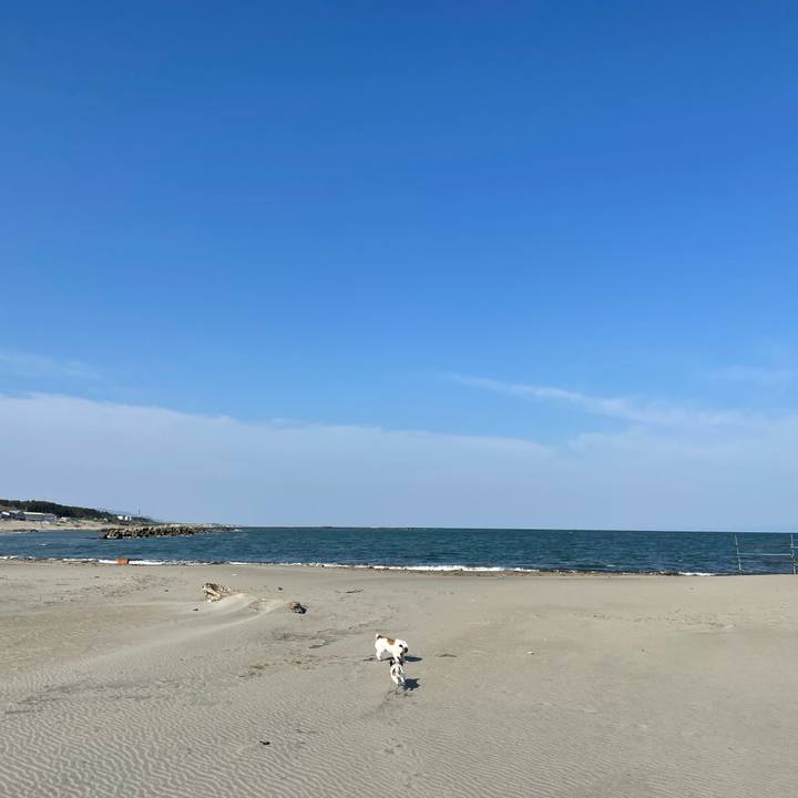 B8993b76 dfdc 4e0b 9bc5 2d0a1d1fbeae 1682295707720