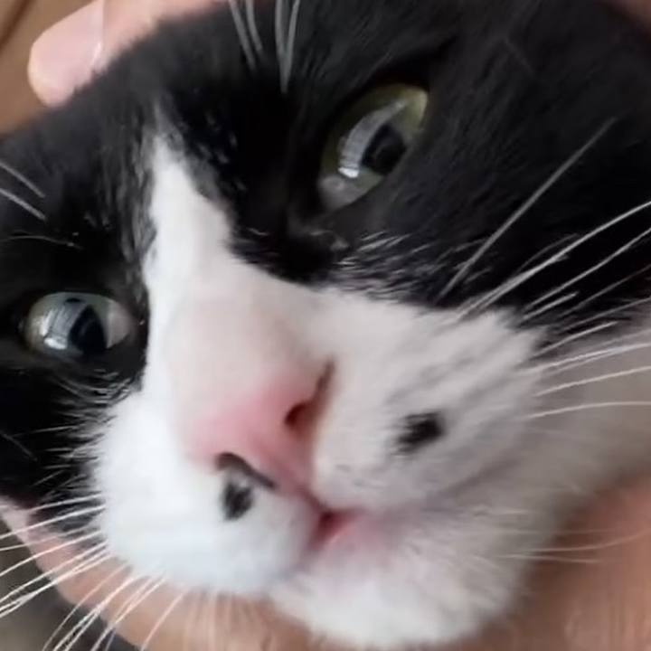 B8994da9 a50d 4ec6 8027 d410e2ad2187 1735270907436