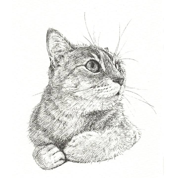 B899bebe 59ed 4c54 949c 3a1fe3f693c4 1570631218448