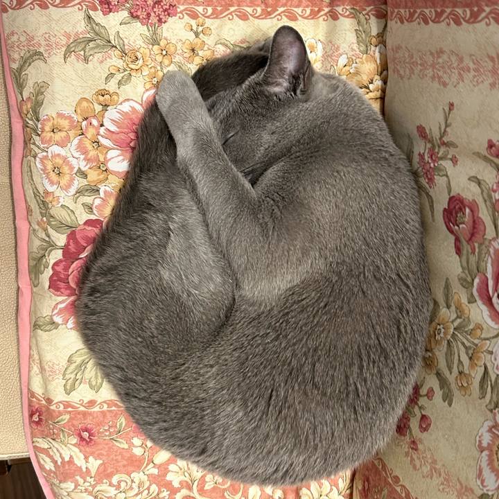 B899c5a9 66cf 42c1 b6b2 cde8946b0edb 1736945539767