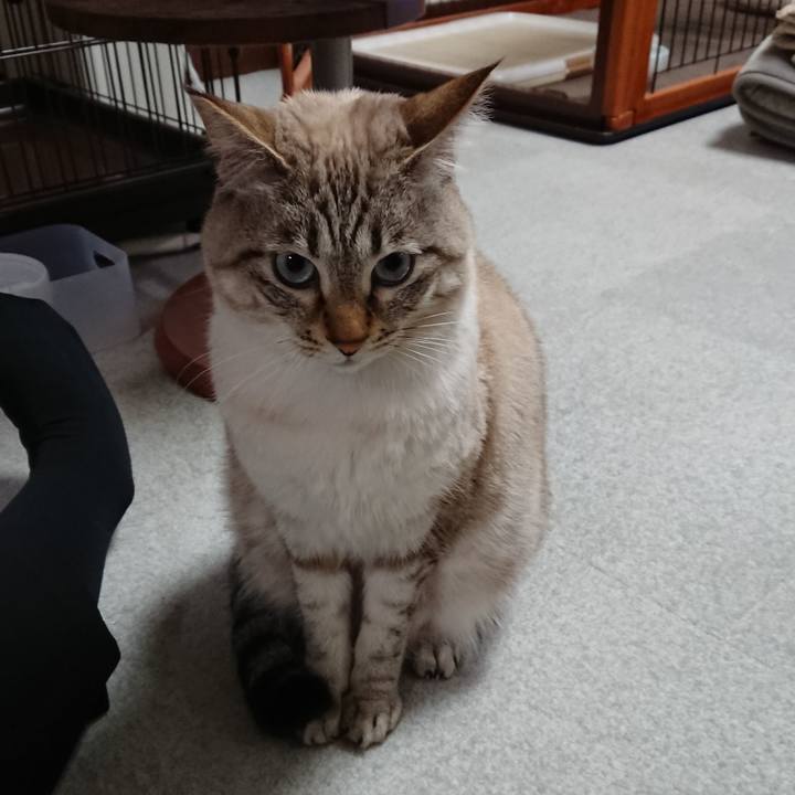 B899f1ca b608 42a9 ac44 2e35752f609d 1518685472322