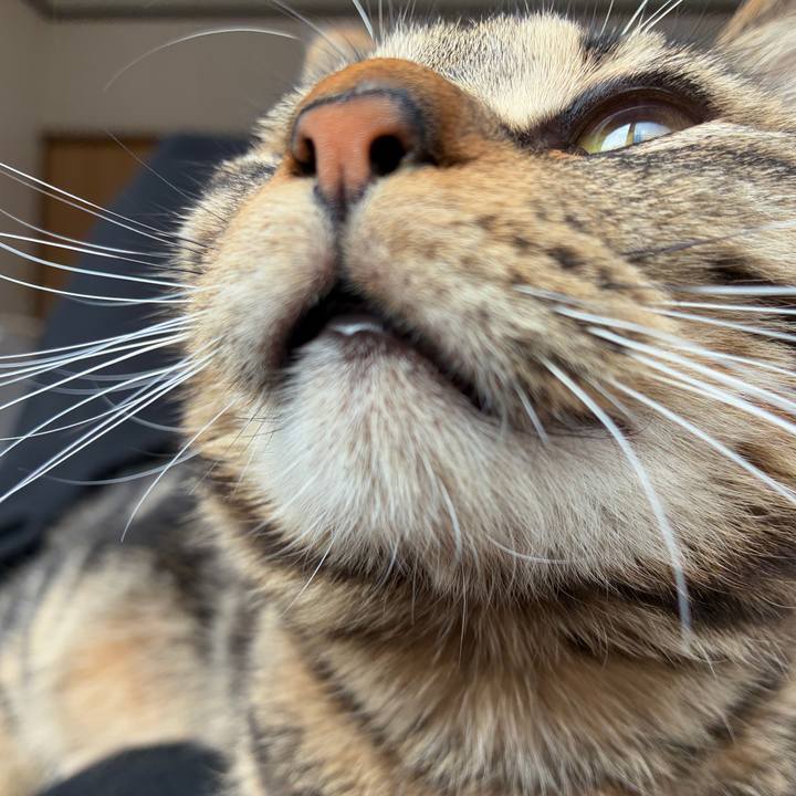 B89a0245 3a26 419d 8328 b6fae7d49f4c 1745018611421