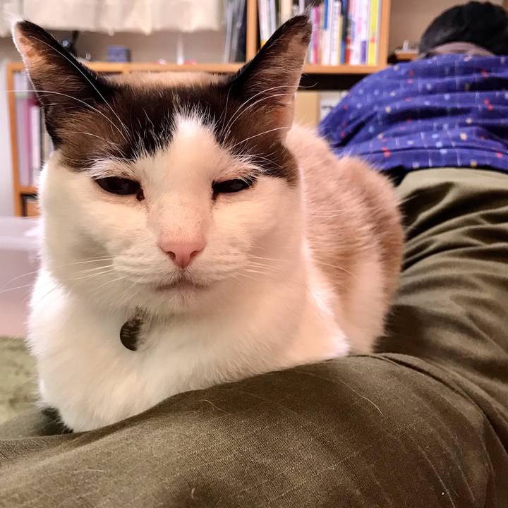 B89a0746 8532 44d5 a8d6 d449dce21ccd 1618532904864