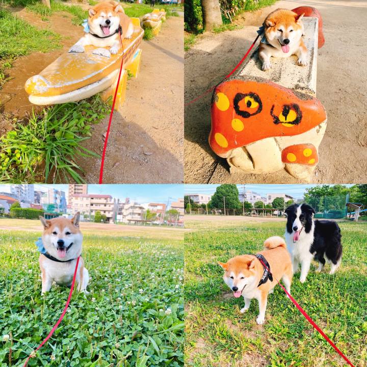 B89a1d30 31c1 4a5d 807f a346b2d0132a 1656542558199