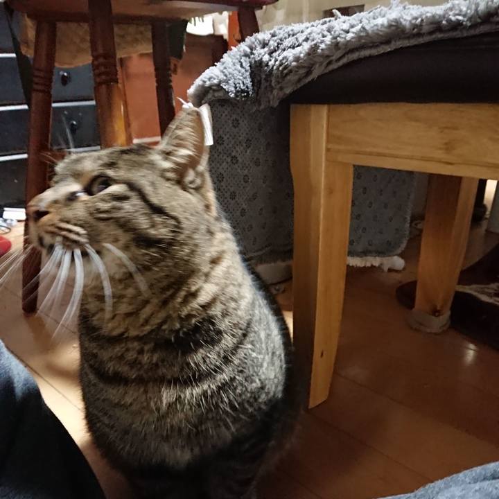 B89a2acc 6408 4539 8feb 6d88ccf837eb 1639083089425