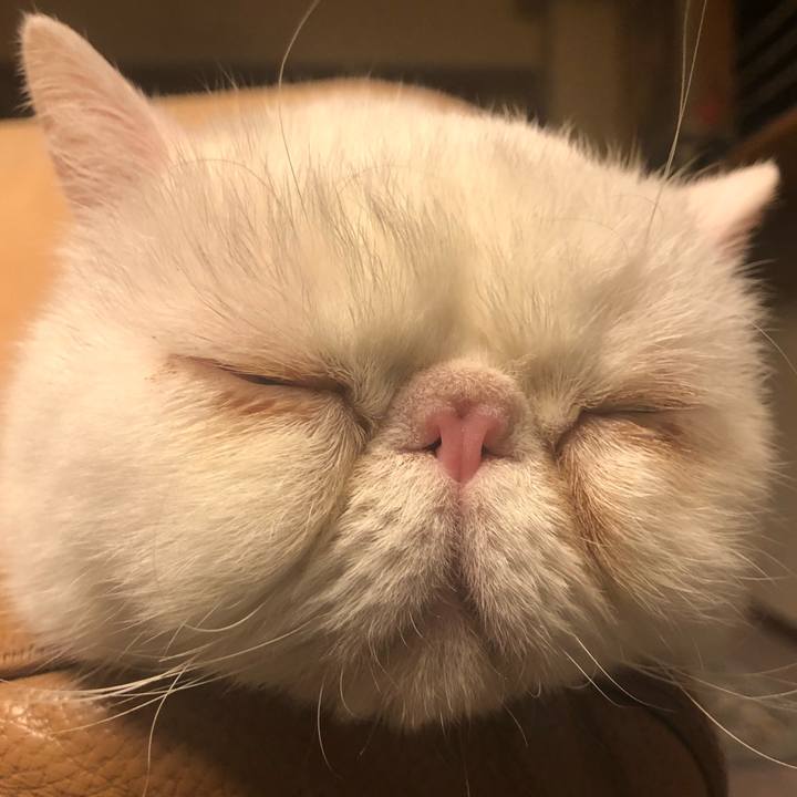 B89a4348 2b55 471f b253 bf5ebc832033 1646227694257