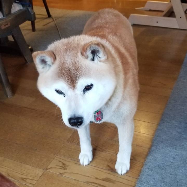 B89a48b8 ca76 4979 9d68 11e9c9b4b1c4 1684831208817