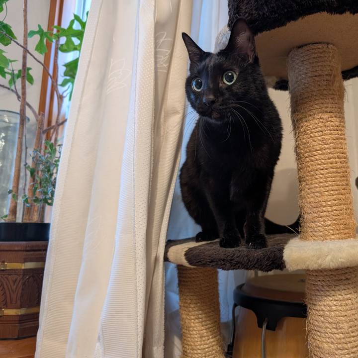 B89a4b06 e848 4600 8b11 fac5578445bd 1763940609517