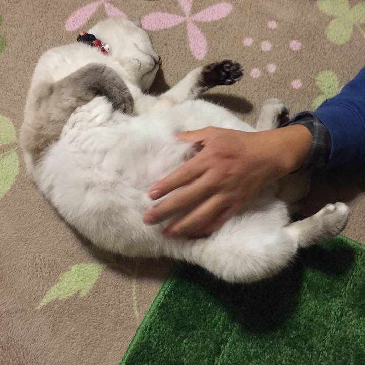 B89a520c 082e 4917 9453 f5380c680ae7 1540814875011