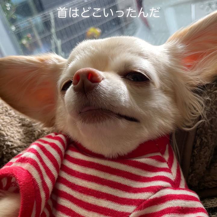 B89a5d61 8ec4 44a2 ab6b df97896c180b 1703839042314