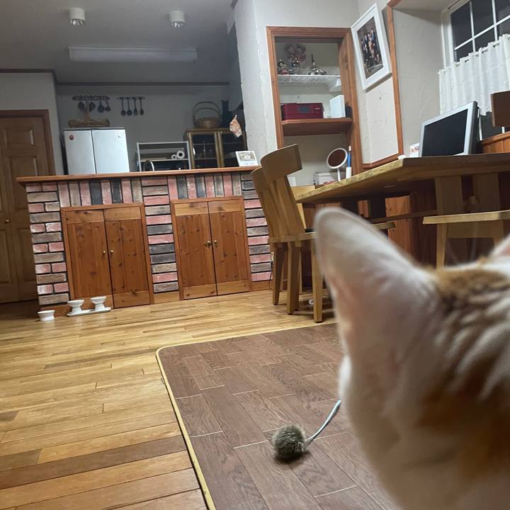 B89adde1 25ac 49d3 80cf 5621f2261cbb 1645289028970