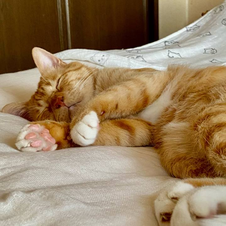 B89af2c1 d08d 4f80 a507 b2975bfe0792 1761965445585