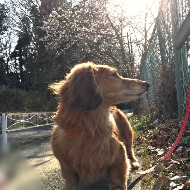 B89afd23 6ebb 4bfb af26 0194f00e7595 1616159614590