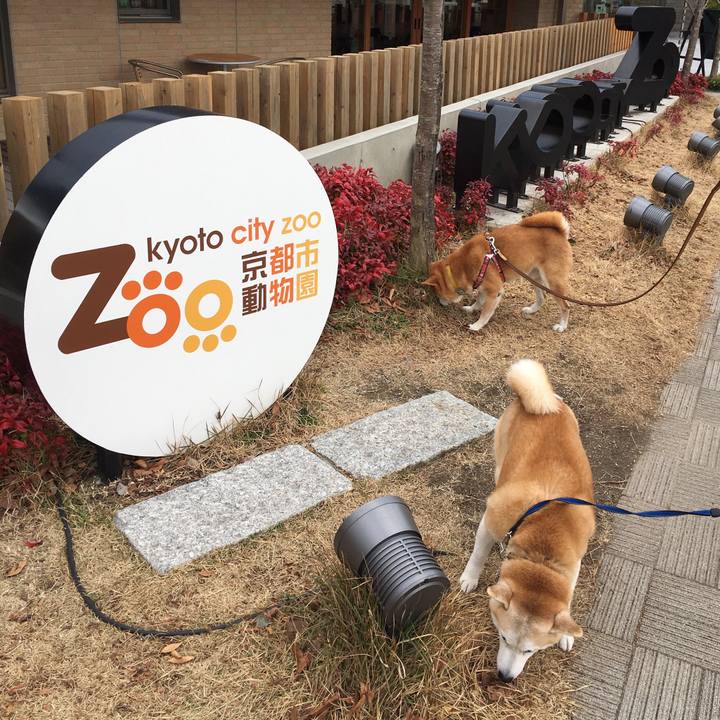 B89b2912 781d 4b9b 83bb e263b32e04f5 1513492803874