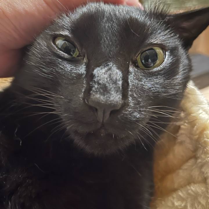 B89b3ee2 1337 4feb 843c 89a69516b568 1752628096224