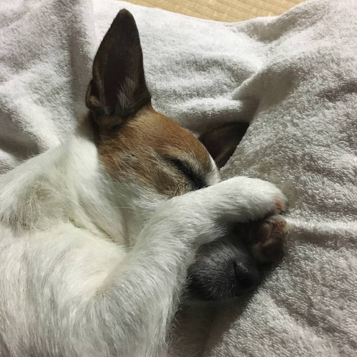 B89b664f 6c4e 4f4c 963b c5ebc64c593d 1591055133038