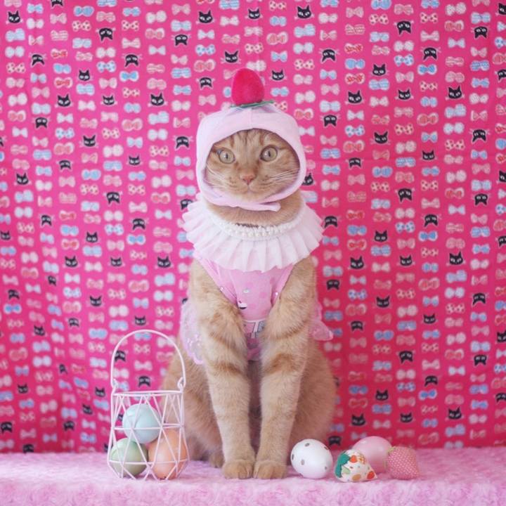 B89b676e 028e 4ea8 bcab 1ccff9952ae1 1656745146497