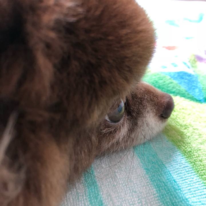 B89bac55 d2e0 408b a1b2 805840d97806 1555651570543