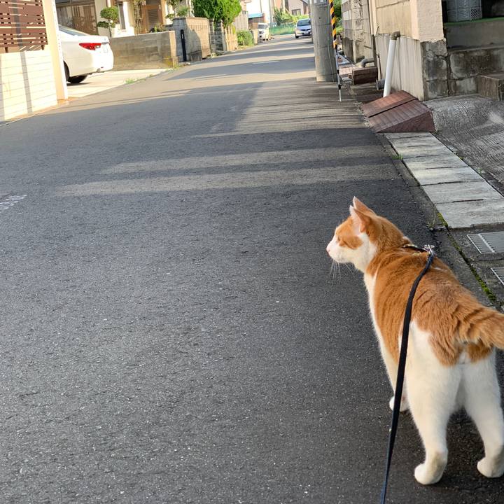 B89bc374 687a 443d b24d 39cb6c3bb37e 1597103200809