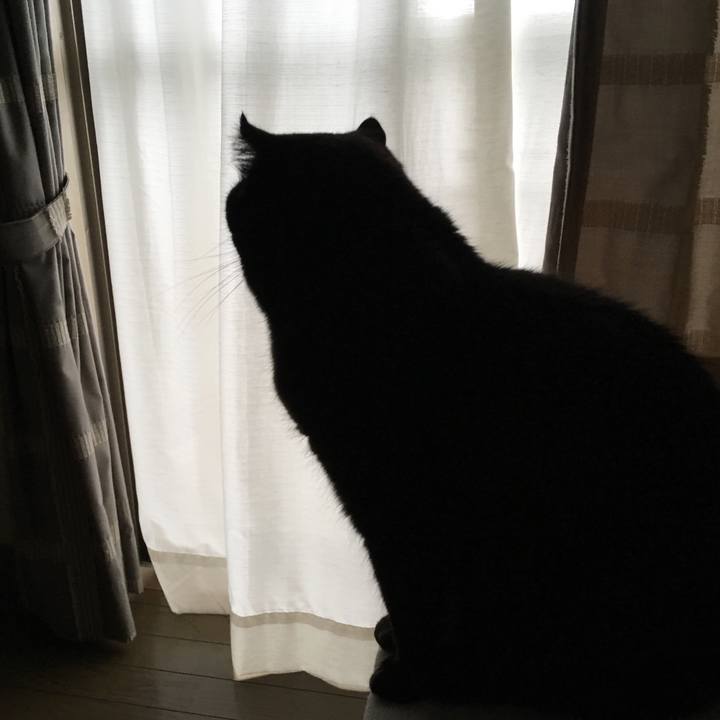 B89be5da 5f16 448b 98f8 8e10d59a3208 1525821099752