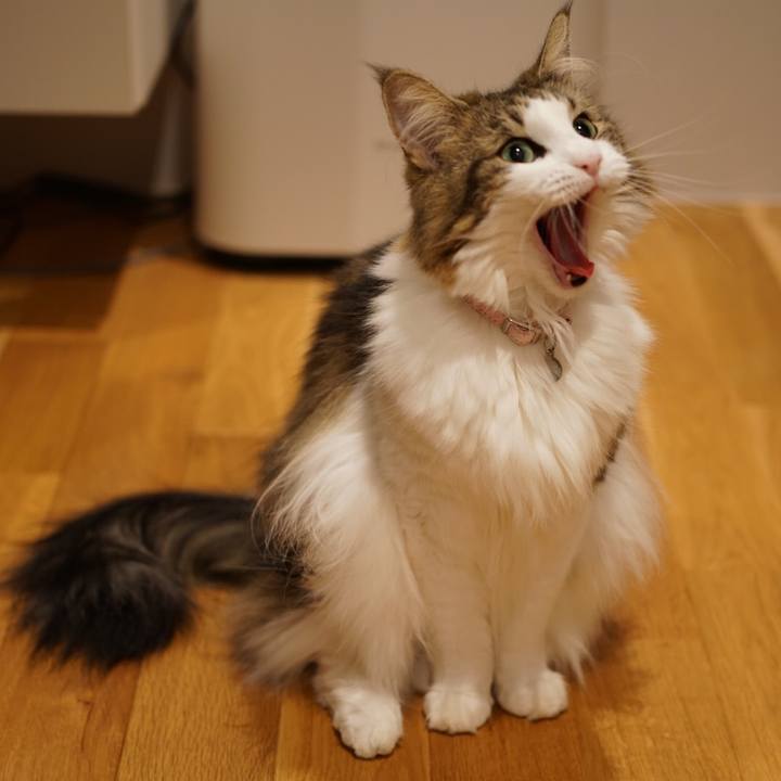 B89c2ffe 4e17 43f8 a941 22271482b874 1569848612261