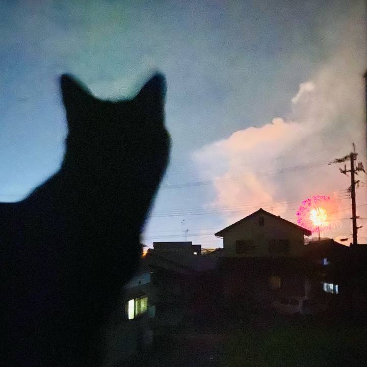 B89c986e 01ed 4d9d ae04 9f9d69ae2d64 1690068208155