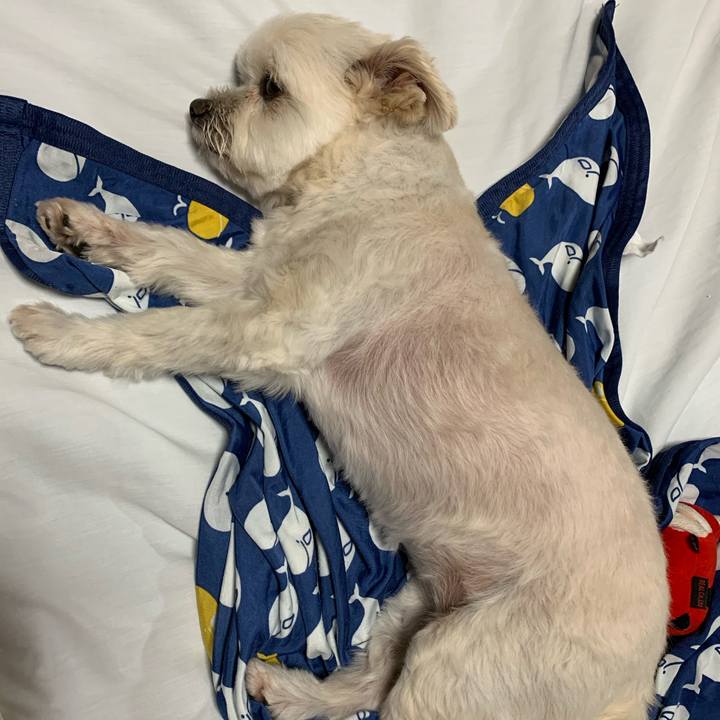 B89ca57f 7fa2 47df a698 c23d1978a277 1623063984068