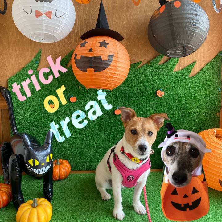 B89cb4c7 95e2 4688 a3a5 e49da6b678ed 1604150021594