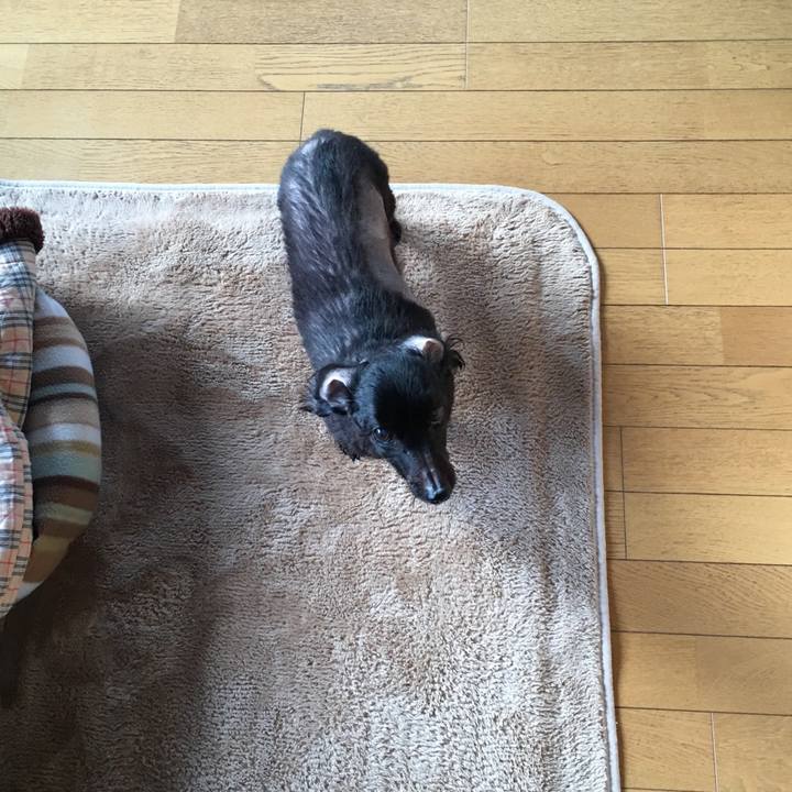 B89cef08 e340 4db3 9199 fa127018a902 1554672974422