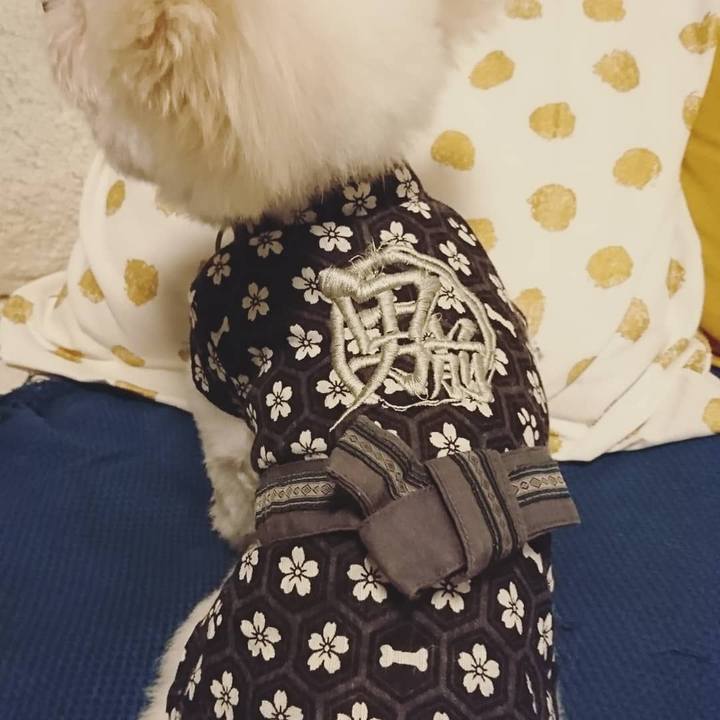 B89d1ed6 a898 42d0 82da ea50a6566e1b 1534761587501