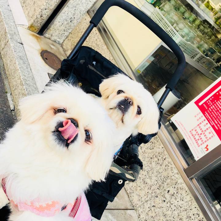 B89d23e3 1103 4586 8ca0 af0e20d4df5e 1551757054849