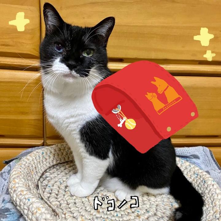 B89d2452 0a1e 44ad a7f5 3f07a3a514cd 1744350237706