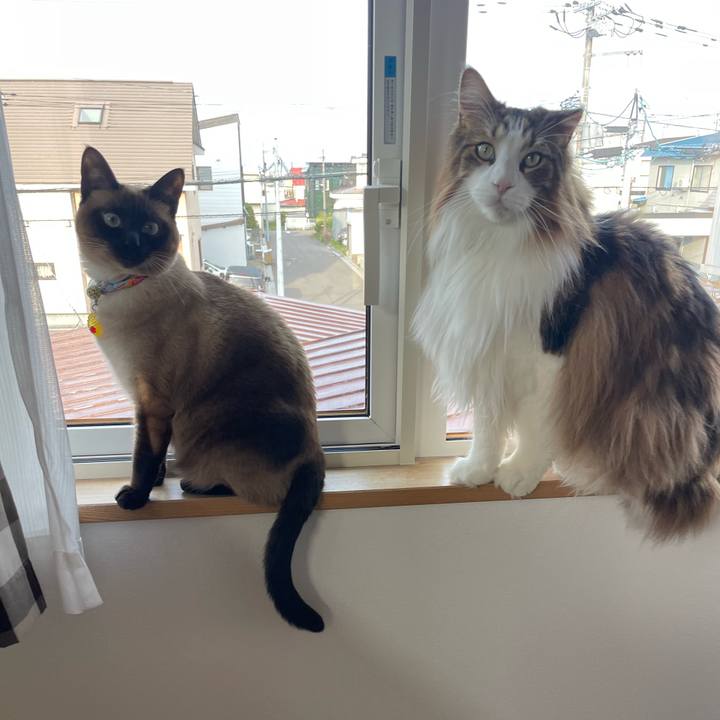 B89d4c5f 09e9 410c 9426 46b9f2e54d3c 1747951315393