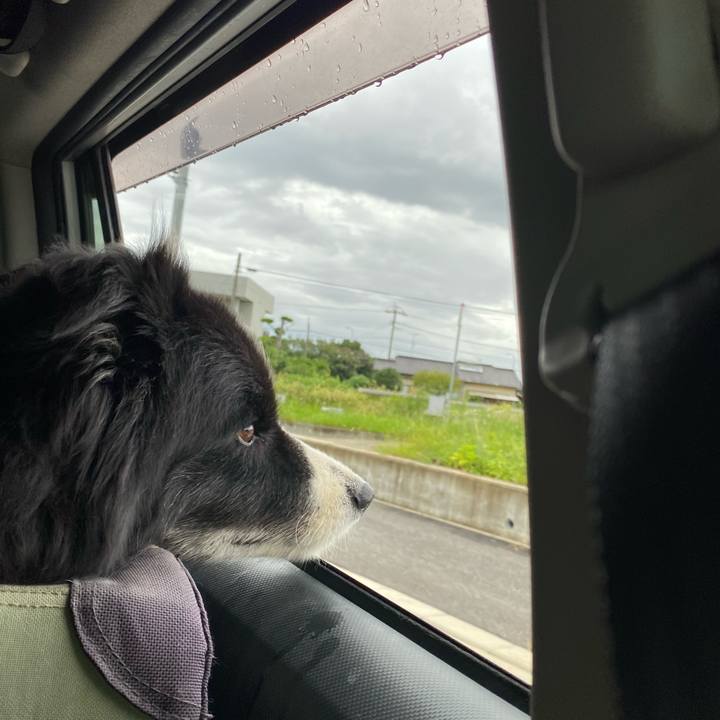 B89d6356 41fd 4704 95d9 a3da2f8bed7b 1662070057485