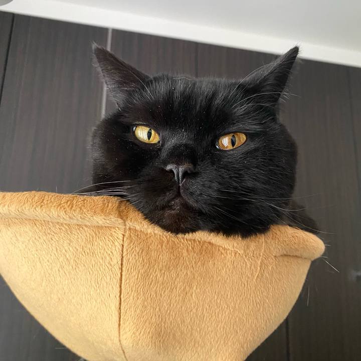 B89d6968 3bd2 4526 a129 a55f75f89828 1745992340734