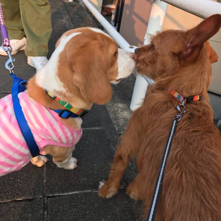 B89d7225 66fd 4d88 b673 3f1a64a50f5a 1551774874662