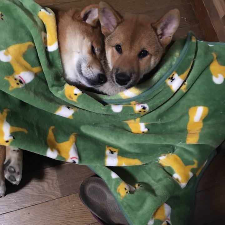 B89de18e 289d 4508 9164 6dc1c260660e 1510791533159