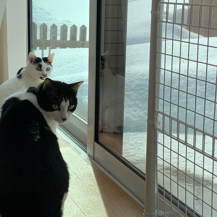 B89e3754 4b87 49e4 8630 b2077bdab8a8 1710893356621