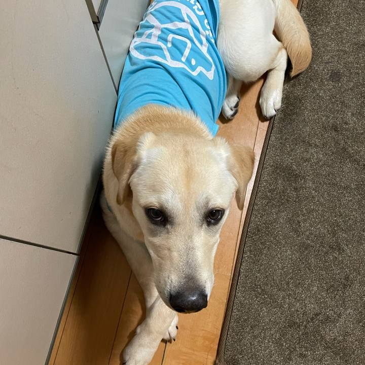 B89e6045 f8e0 40a4 b969 44c8bf19a3a1 1622897199997