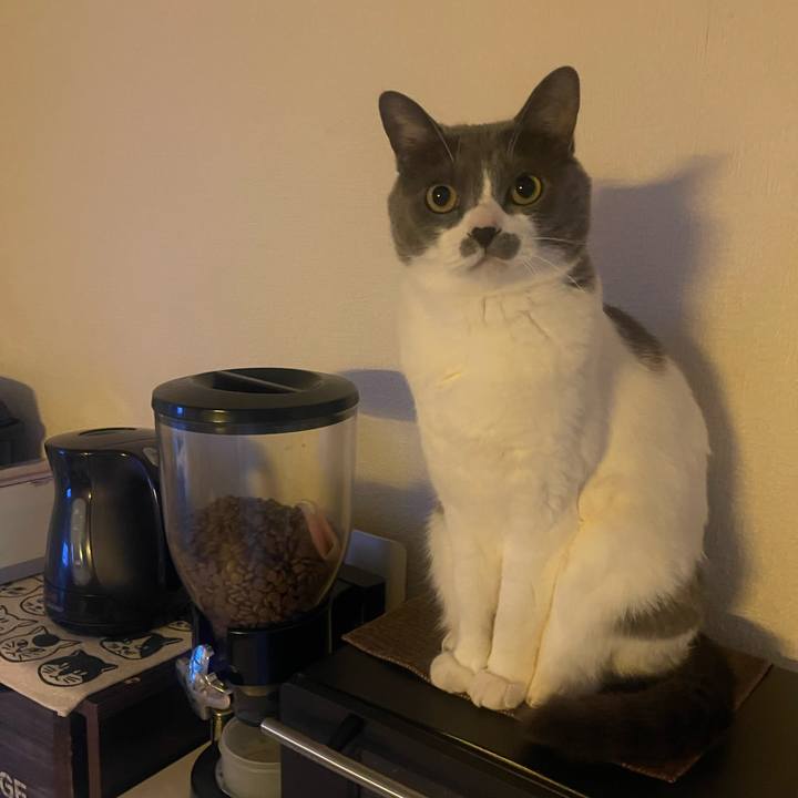 B89e6f6c 328b 461e b3c3 803bc7db9260 1745964663552