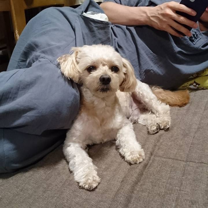 B89ea13b c447 4135 aa4d 7c7b99556090 1599485896806