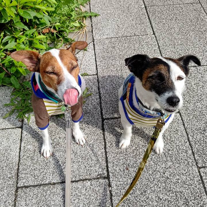 B89ea4b6 55ed 4ba4 a1b3 38581ddd18f3 1685575352864