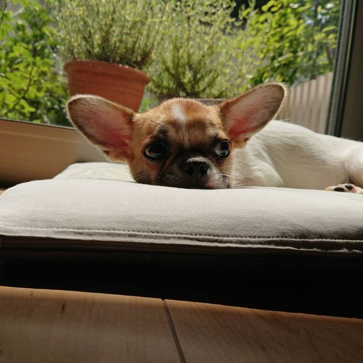 B89ea5b0 d770 4cfa 854a 6b289b245260 1535599455948