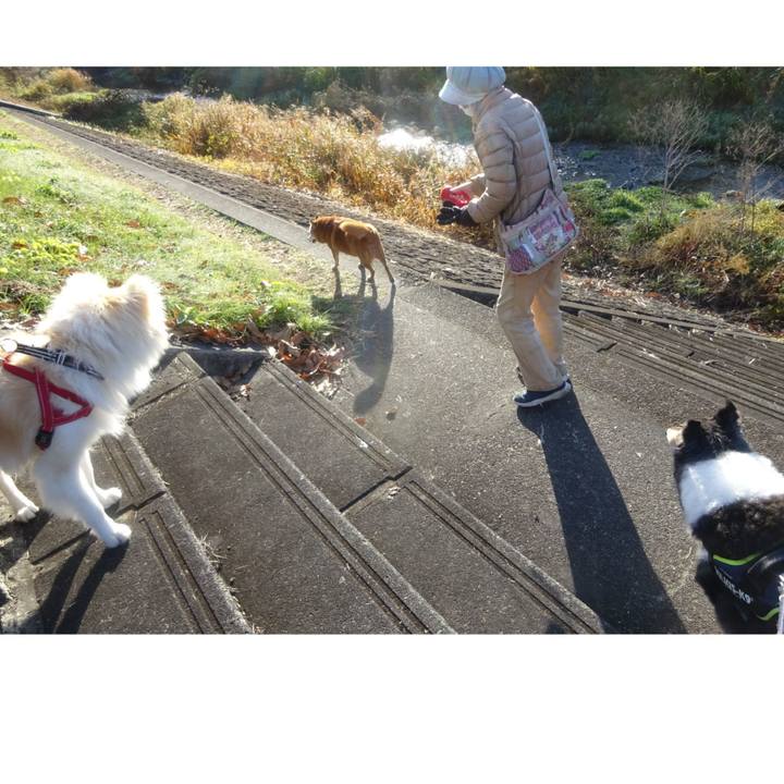 B89eaa05 c2f0 4d50 8ea2 739bb6e14ed8 1607257591081