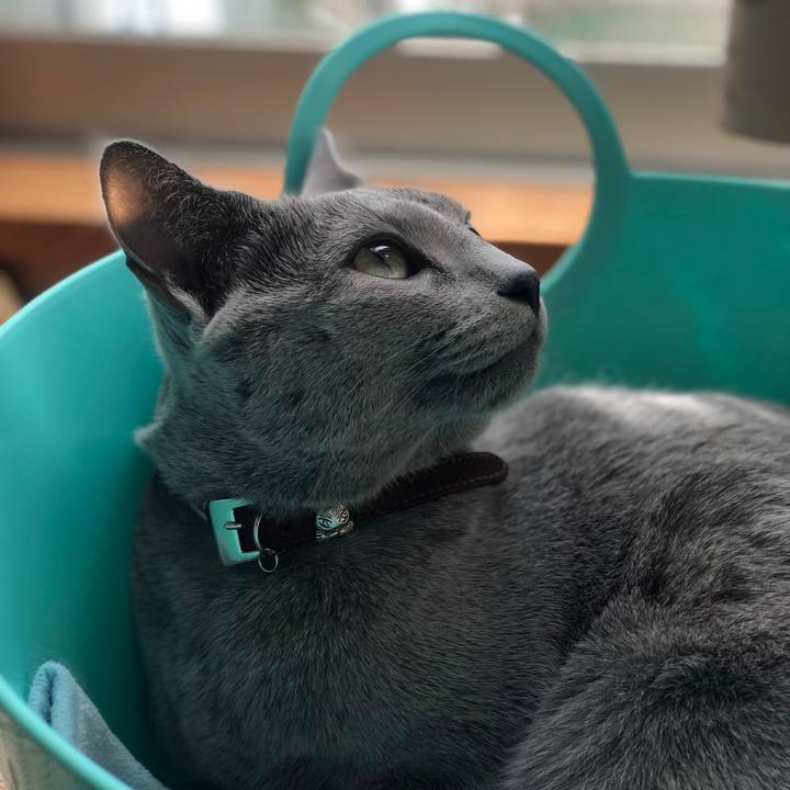 B89eea5b 5696 458d 9276 f0464b422900 1546749445014